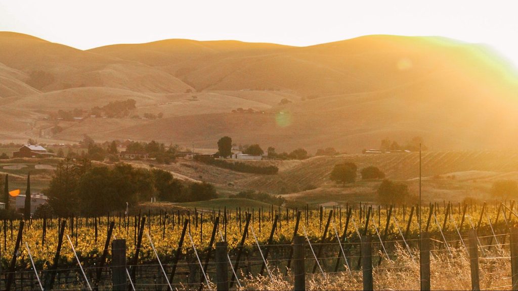 3 Steves Winery Livermore California